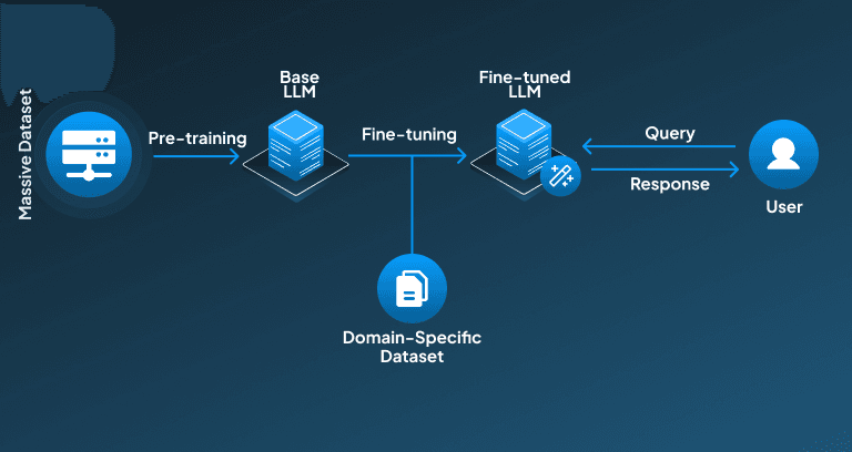 Full Fine-Tuning