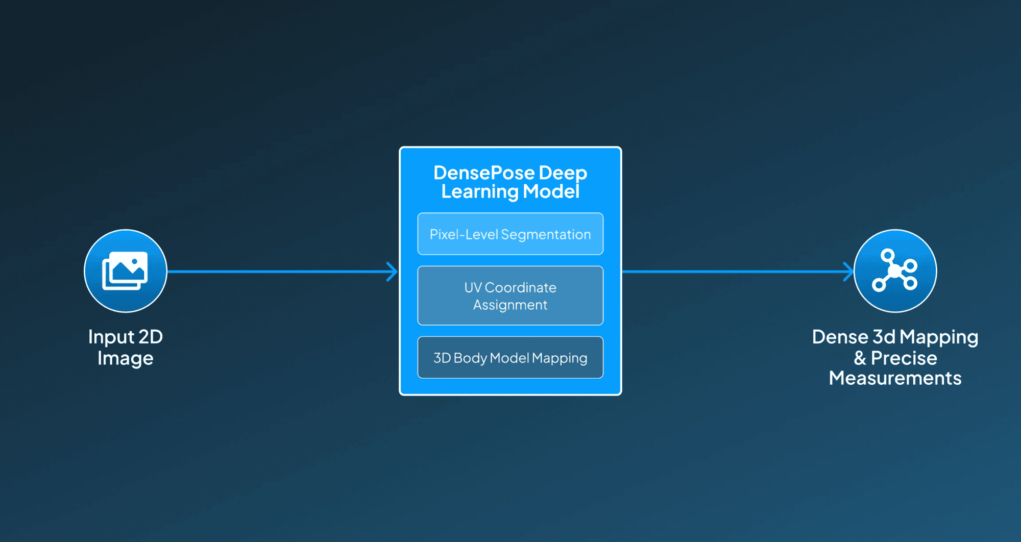 How DensePose (Meta AI) Works?