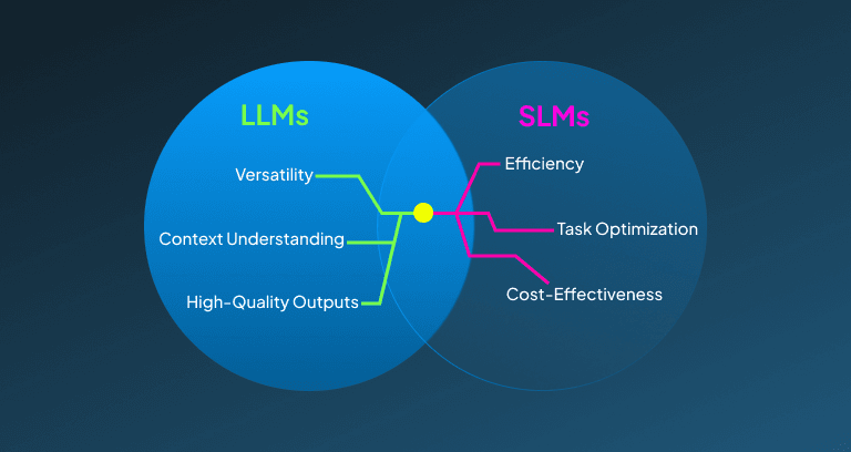 Future of SLM and LLM